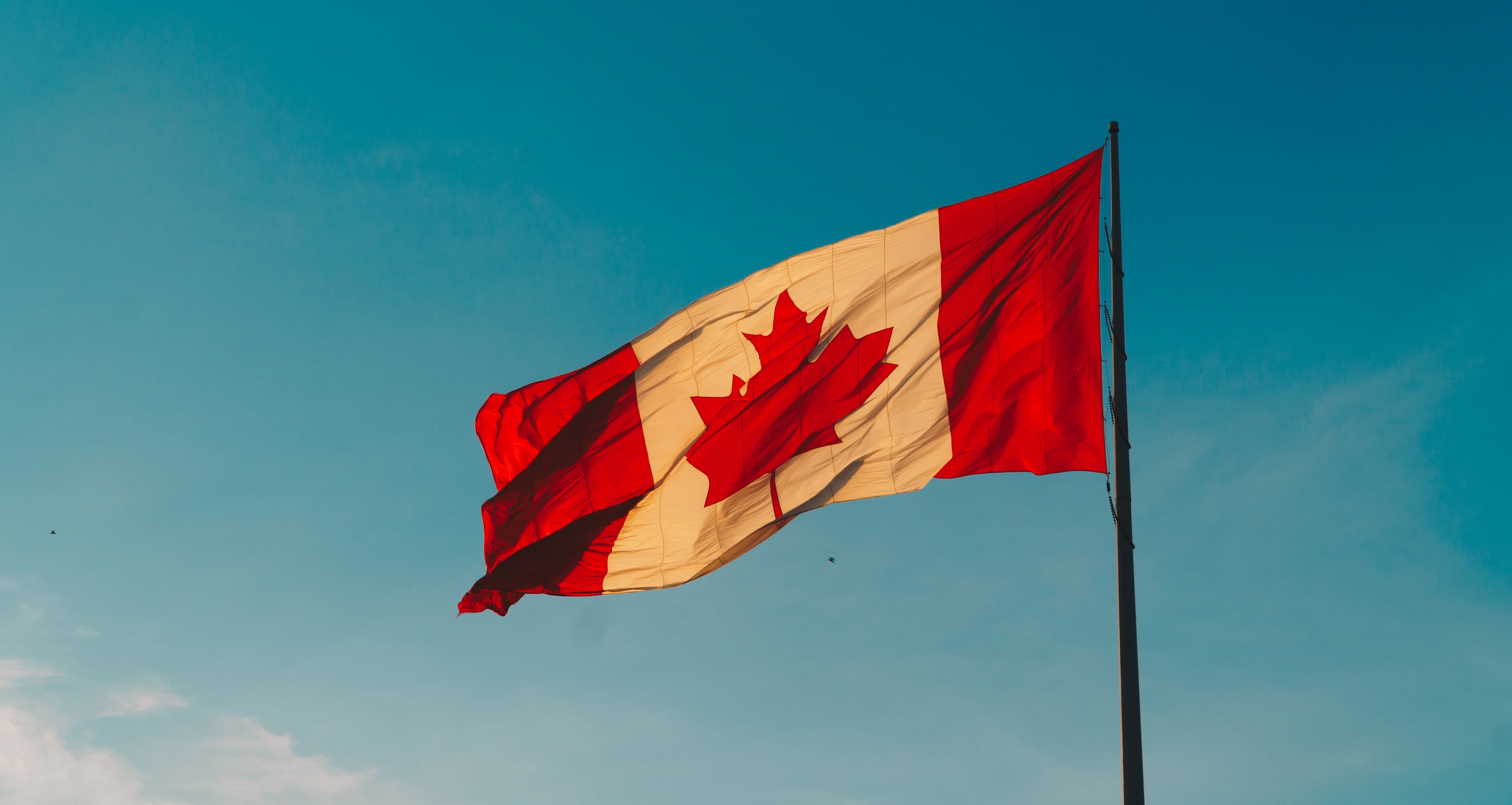 Différence entre TCF Canada et TCF Québec : Explications détaillées